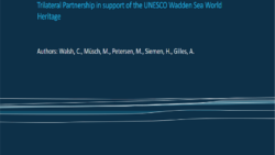 Förderhandbuch für das Weltnaturerbe Wattenmeer – jetzt online