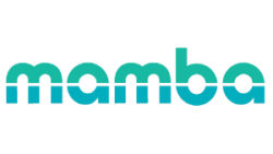 MAMBA – Innovative Mobility Solutions in Rural Areas