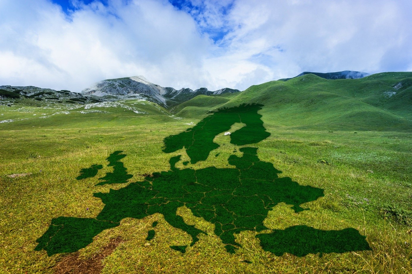 Horizon 2020: Proposals for the Green Deal Call
